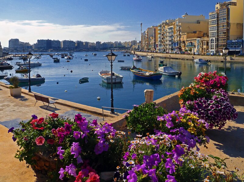 Harbor with Boats and Flowers — Blue