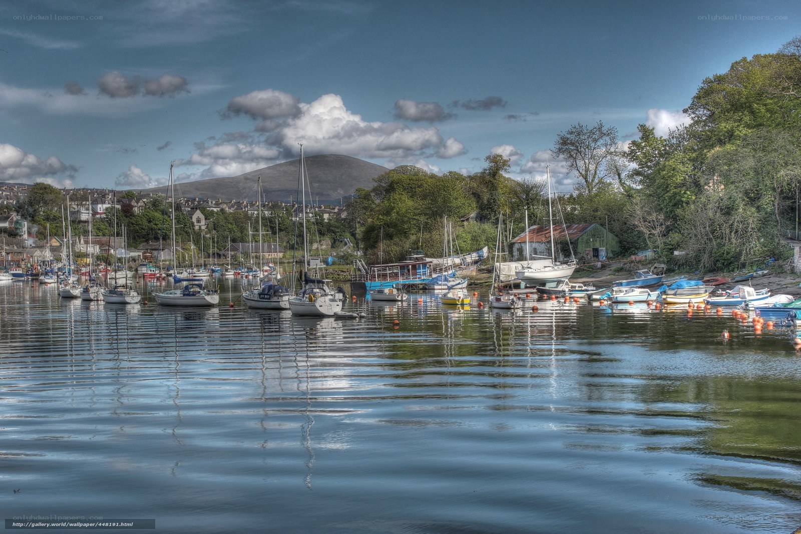 harbor with boats and mountain