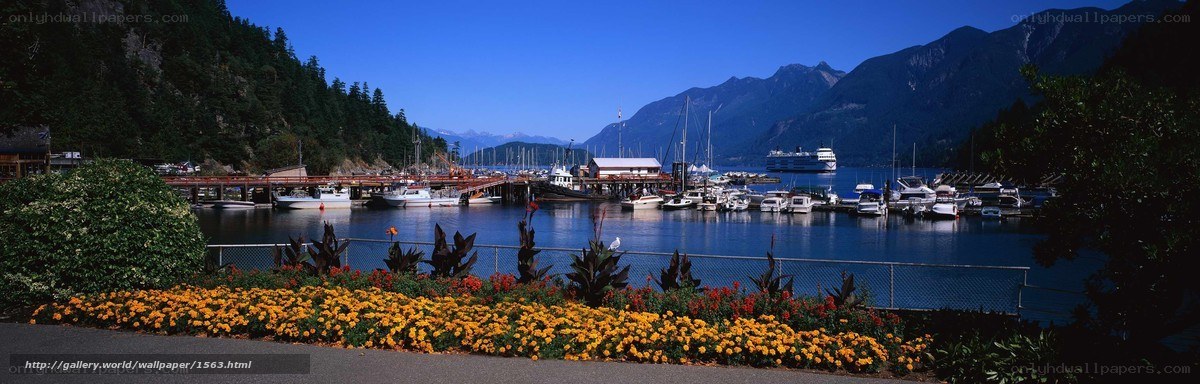 Harbor with boats and mountains