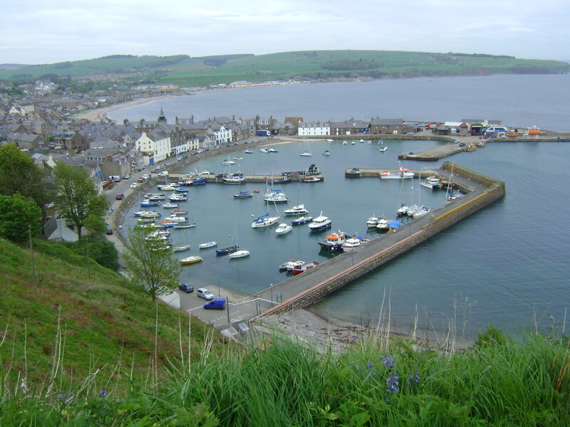 Harbor with Boats — Green