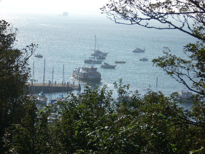 Harbor with Boats