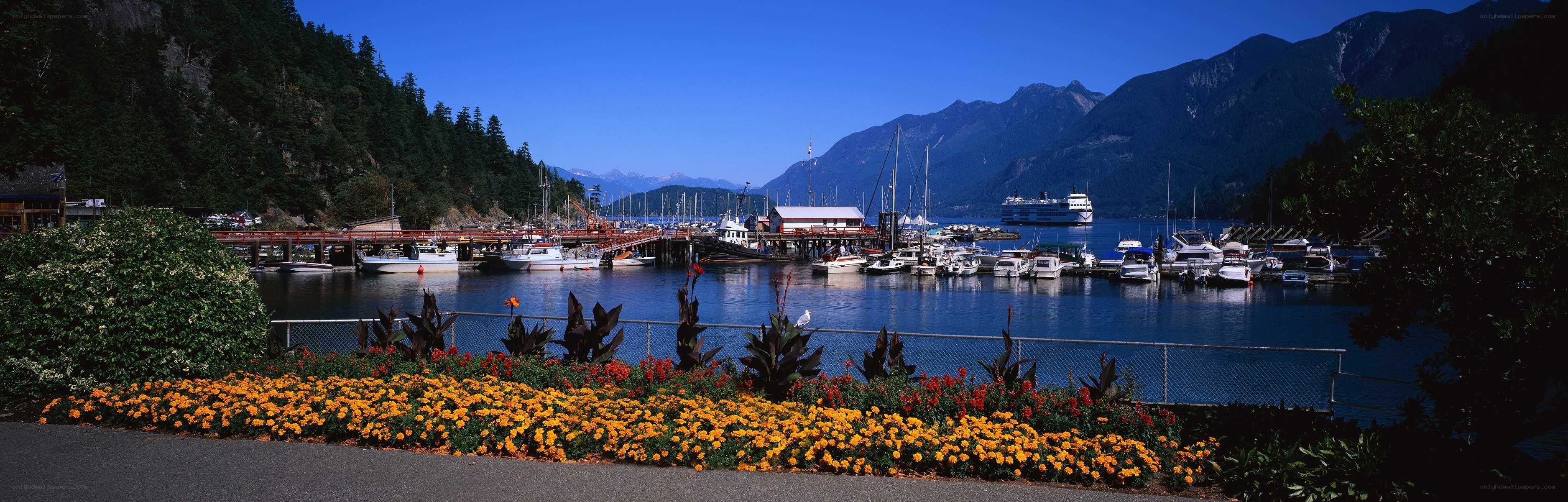 Harbor with mountains and boats