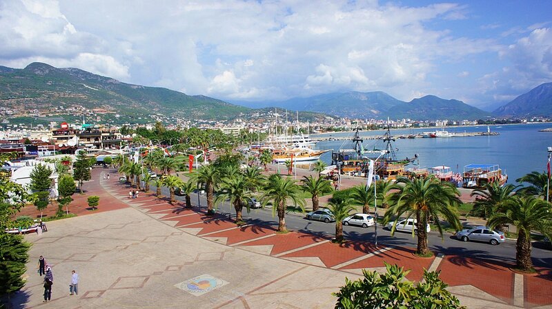 Harbor with Palm Trees