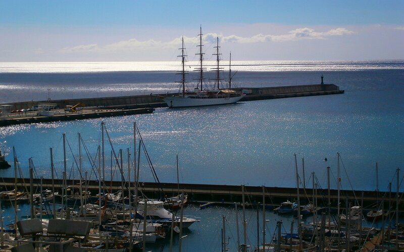 Harbor with sailboats and a tall ship