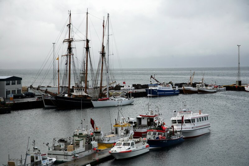 Harbor with sailboats and fishing vessels