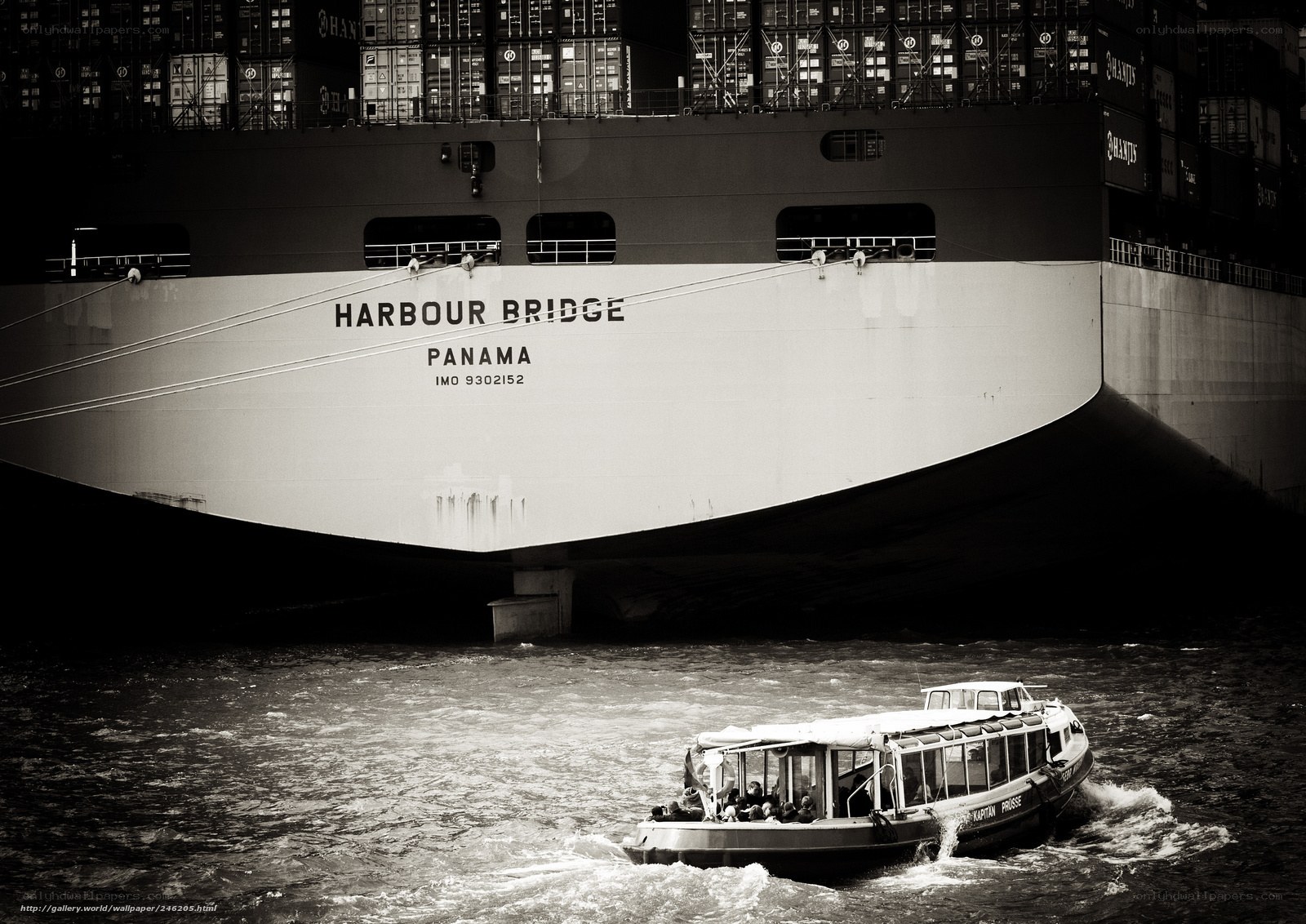 Harbour Bridge ship and tour boat