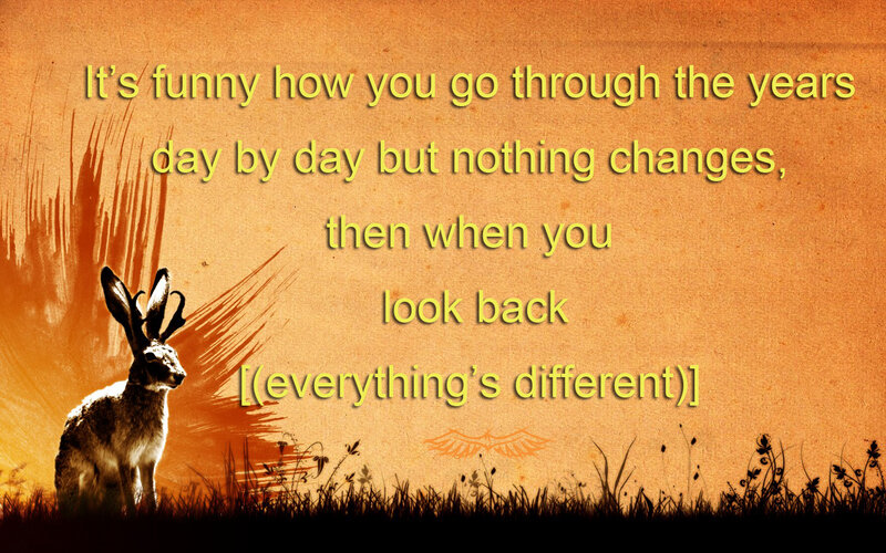 Hare and quote image