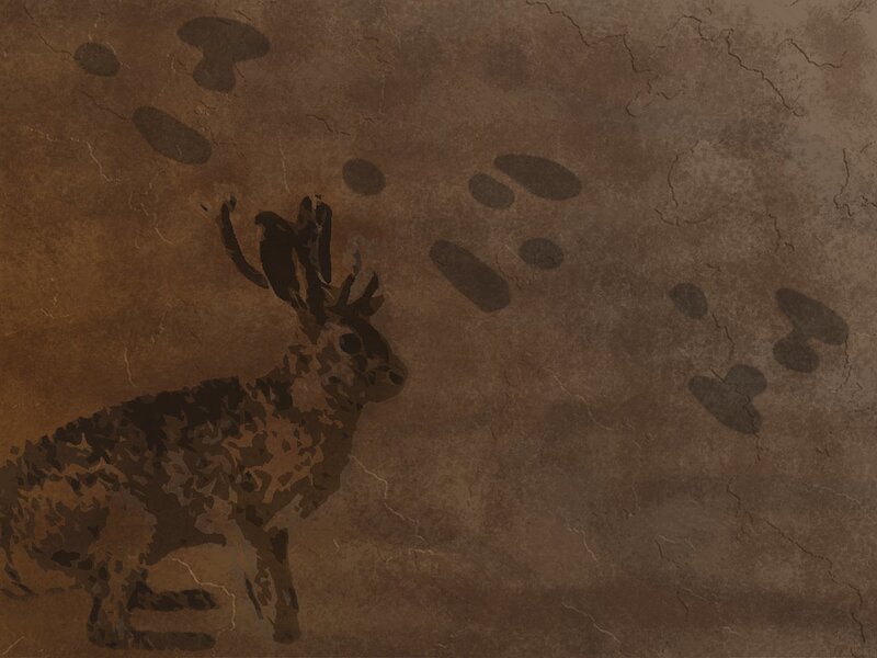 Hare with footprints