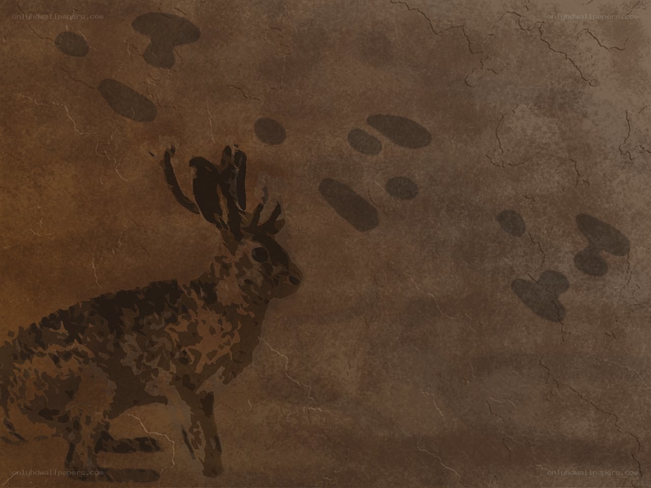 Hare with footprints