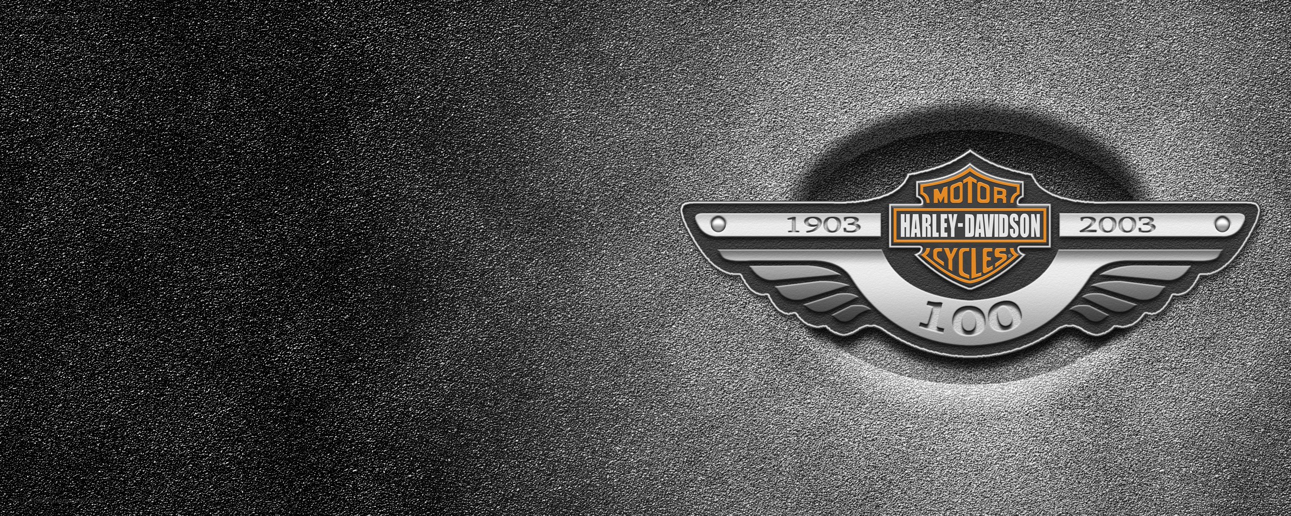 Harley-Davidson 100th Anniversary Logo