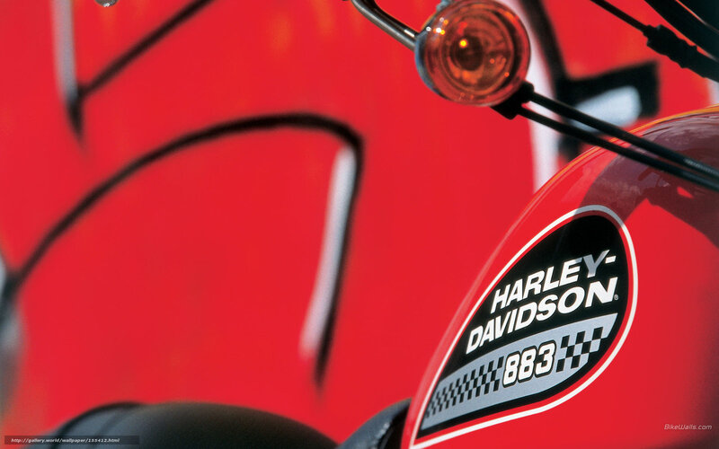 Harley-Davidson 883 motorcycle