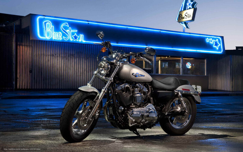 Harley-Davidson at Blue Star diner