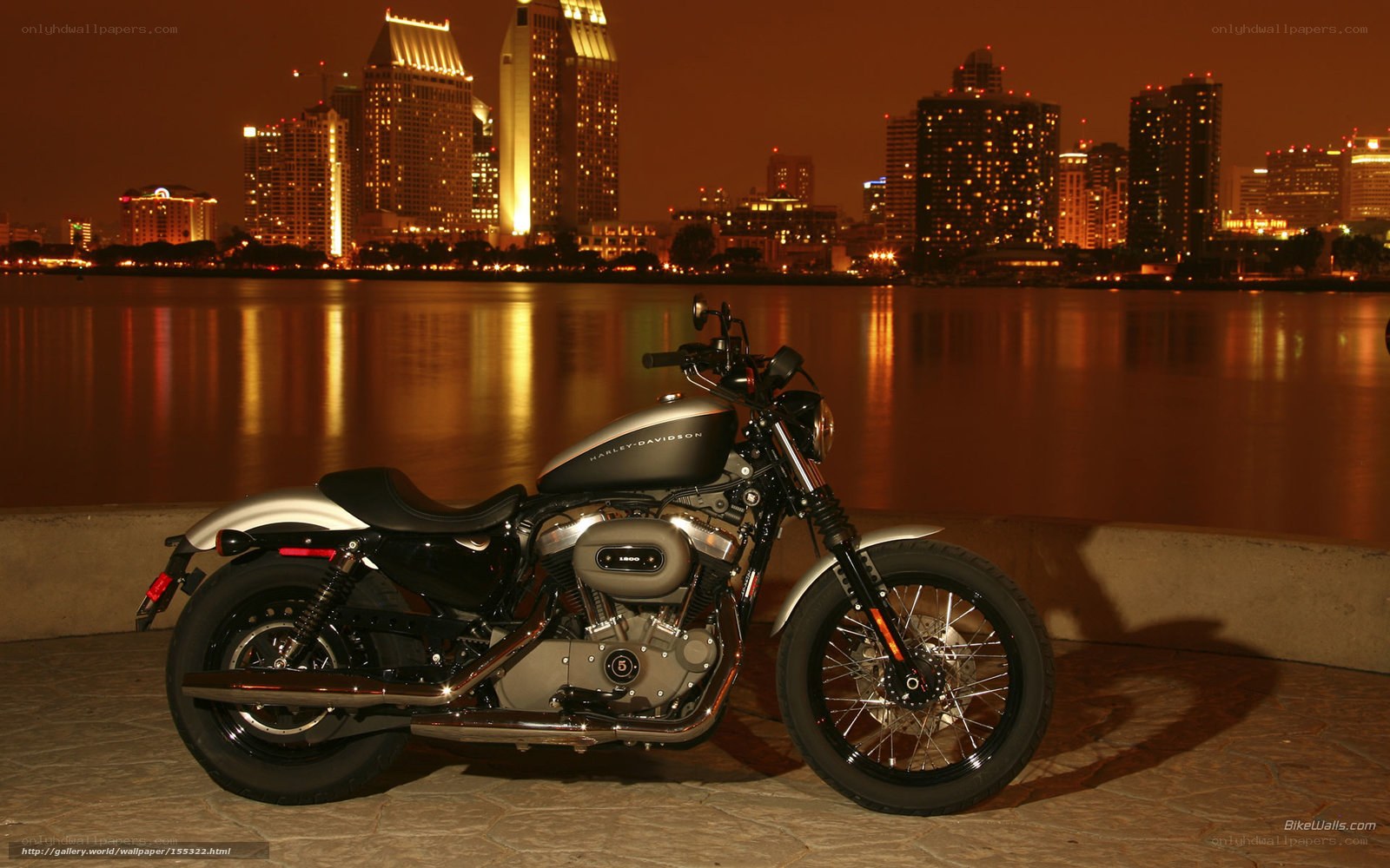 Harley-Davidson at night by the city