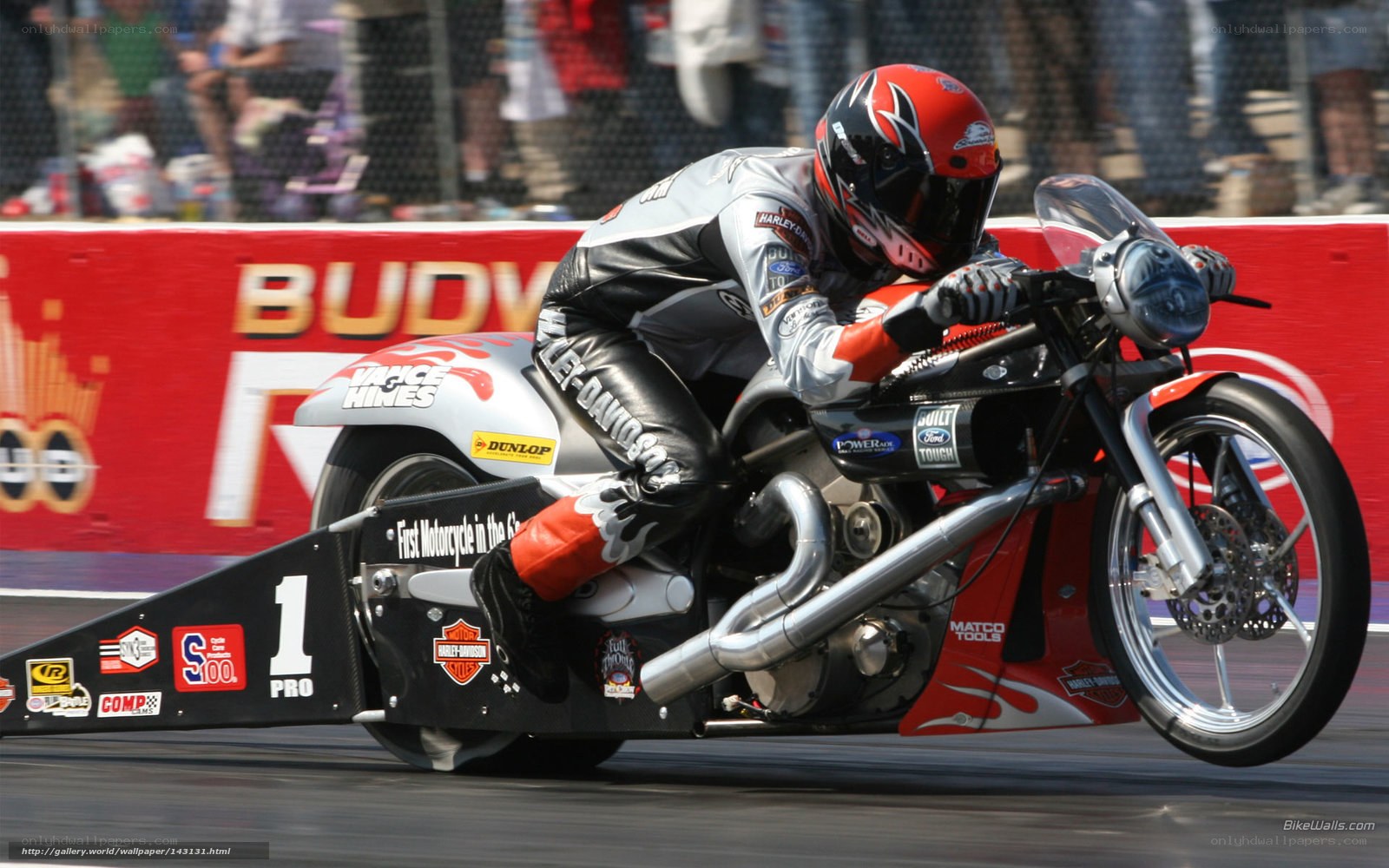 Harley-Davidson drag bike racer