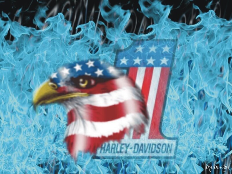 Harley-Davidson eagle flame design