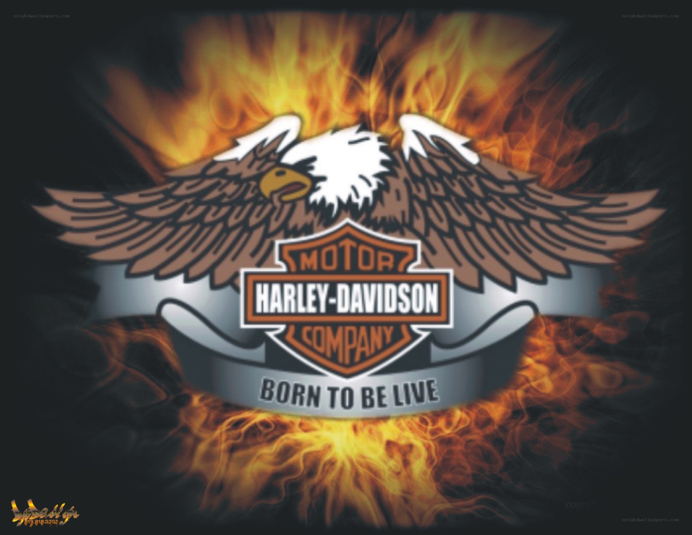 Harley-Davidson Eagle Flame Logo