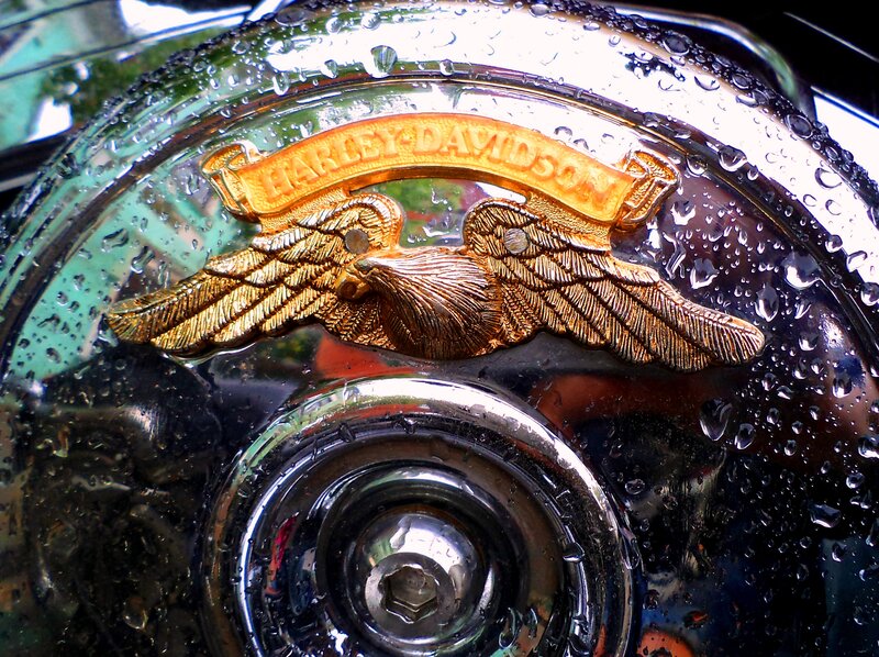 Harley-Davidson Emblem — Gold
