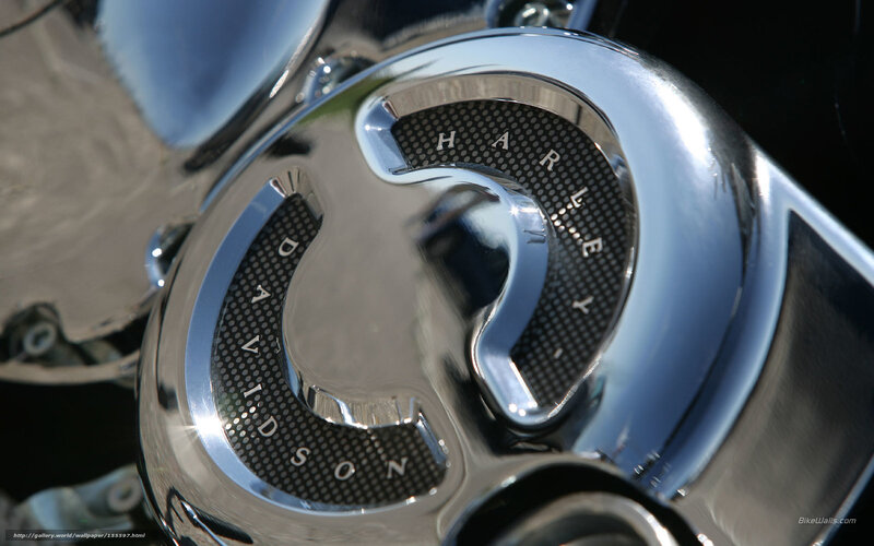 Harley-Davidson Engine Cover