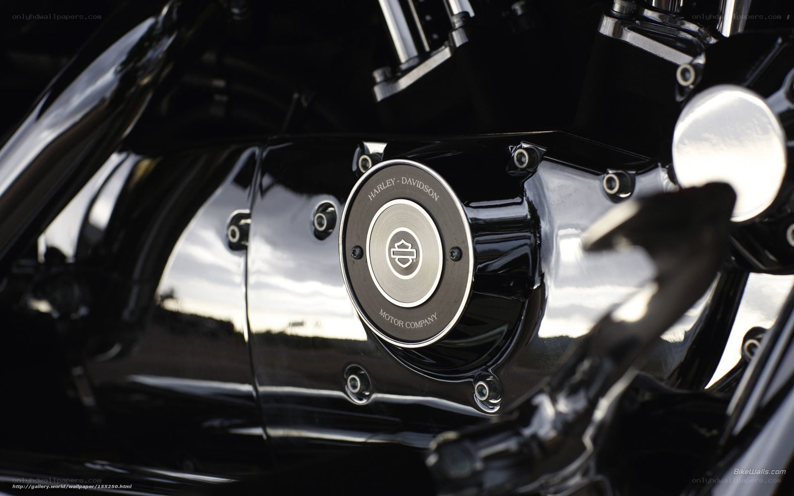 Harley-Davidson engine detail