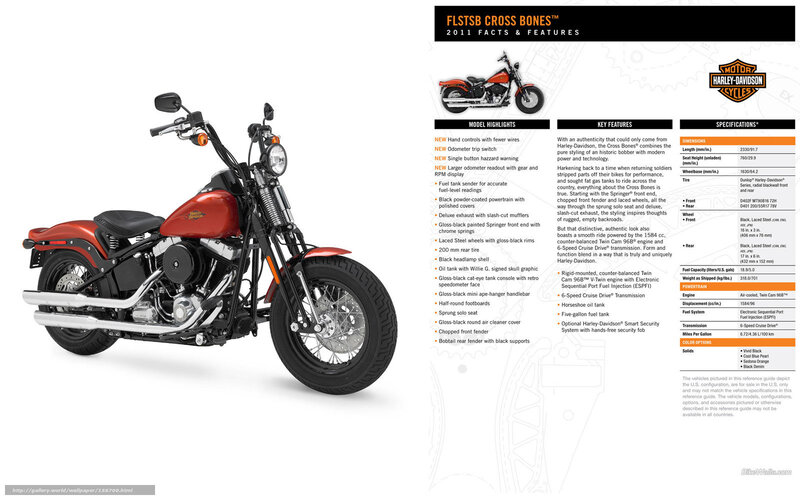 Harley-Davidson FLTSB Cross Bones 2011