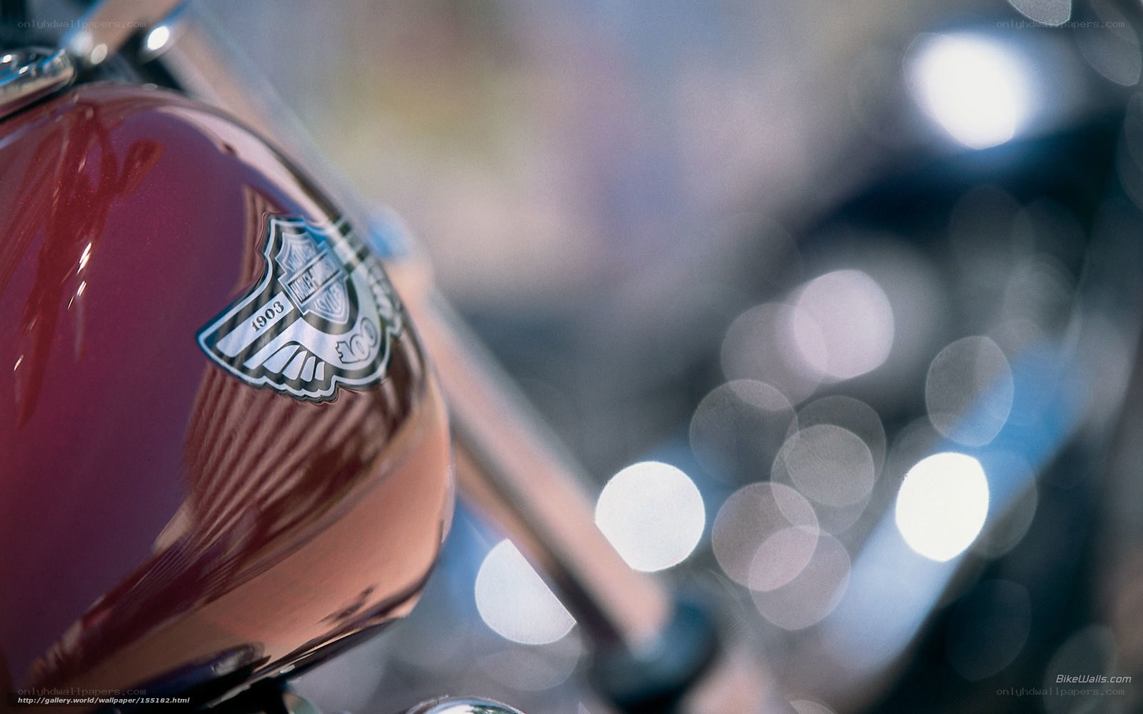 Harley-Davidson fuel tank close-up