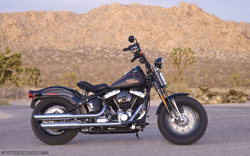 Harley-Davidson in desert landscape