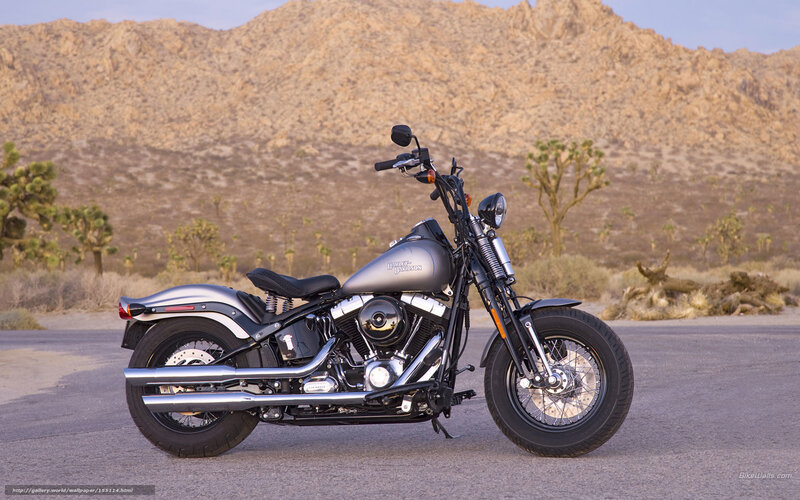 Harley-Davidson in desert landscape