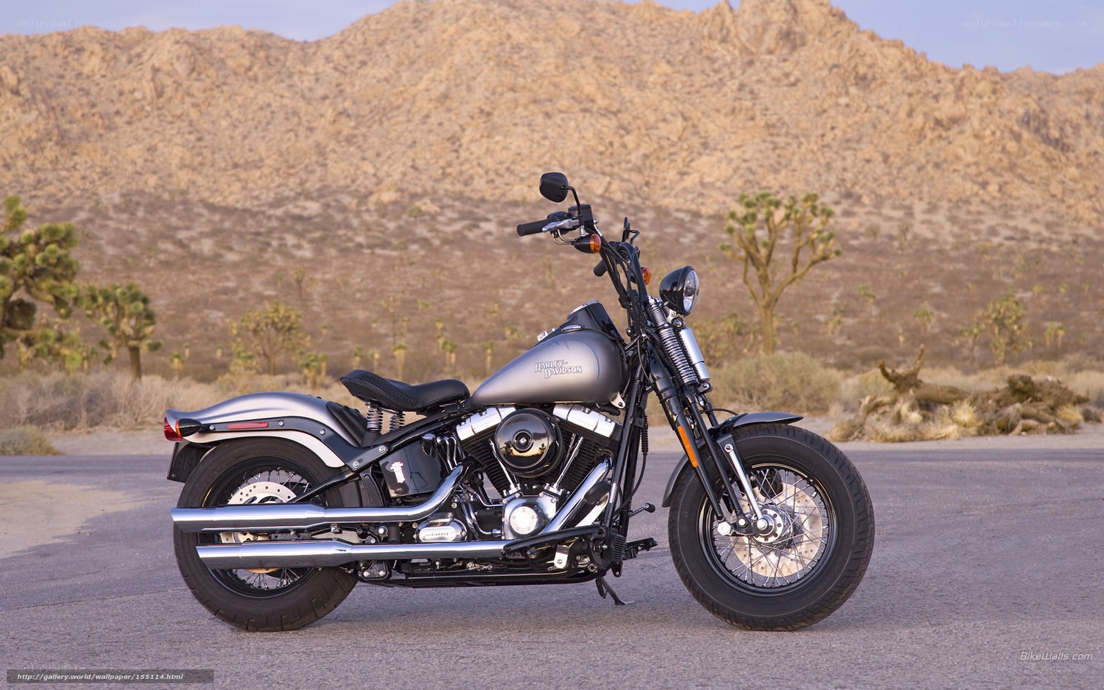 Harley-Davidson in desert landscape