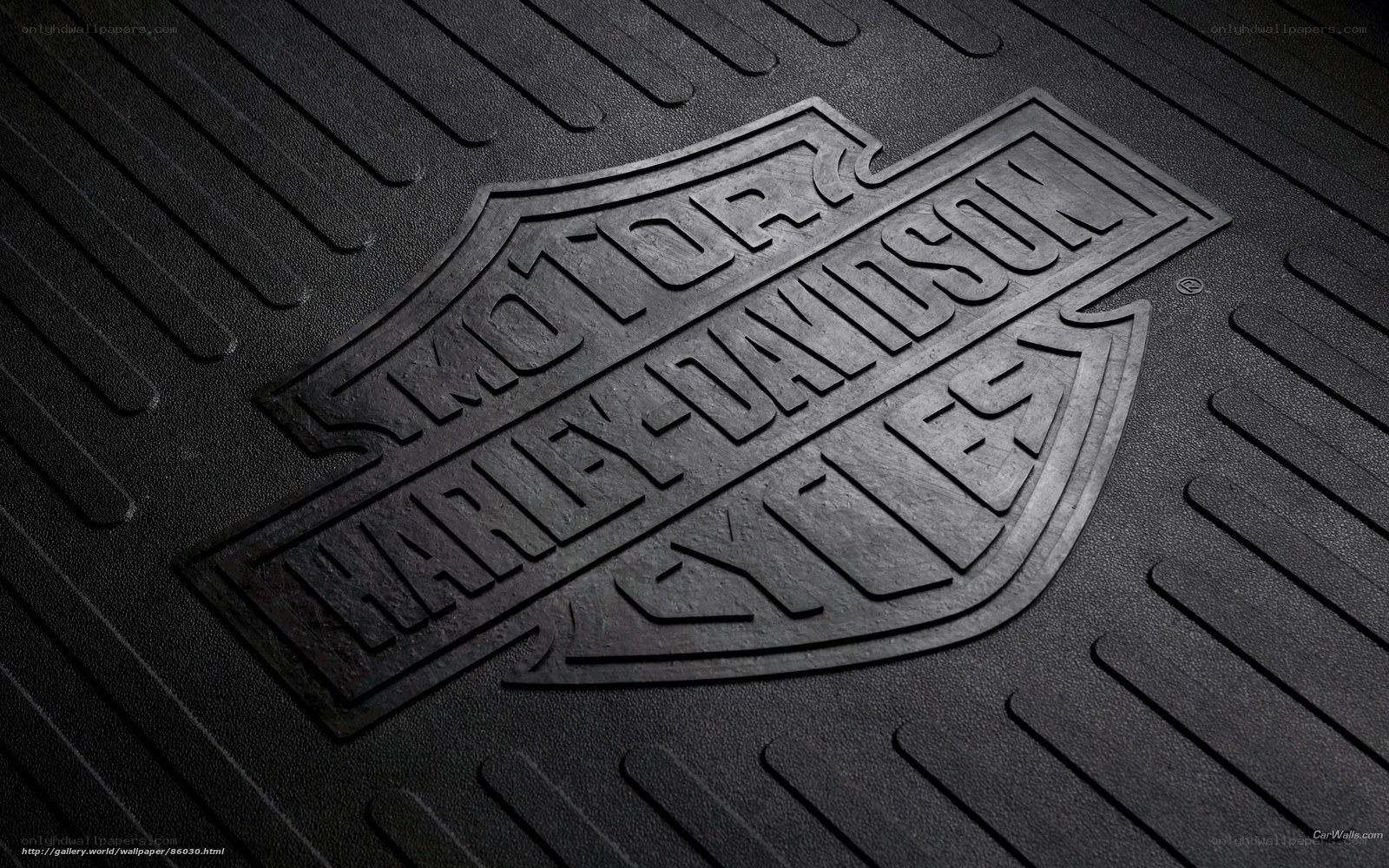 Harley-Davidson logo on mat