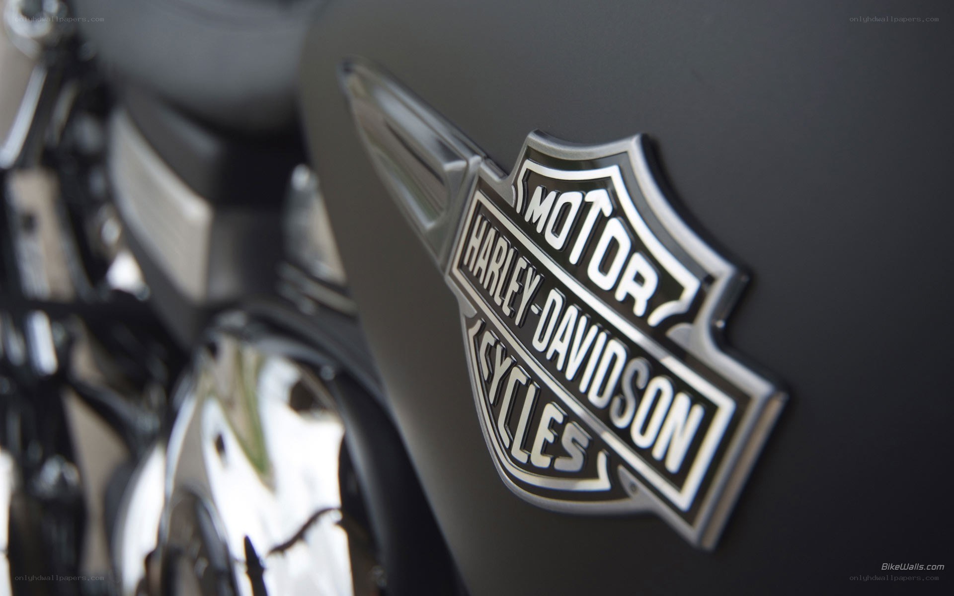 Harley-Davidson logo on motorcycle
