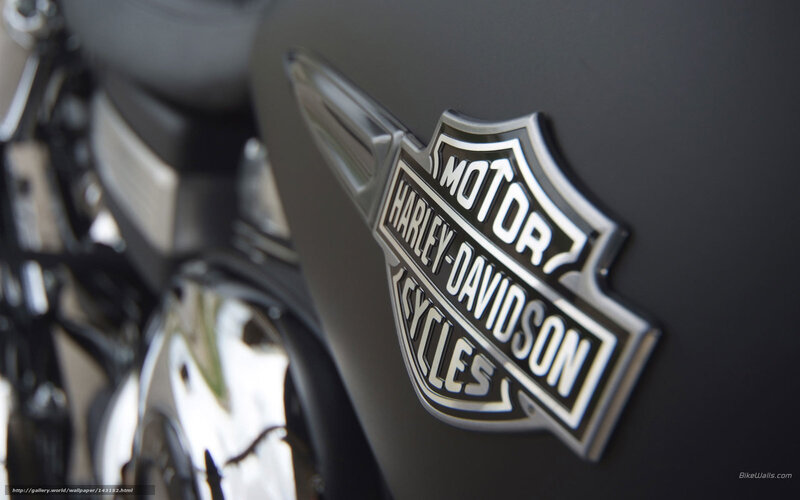 Harley-Davidson logo on motorcycle