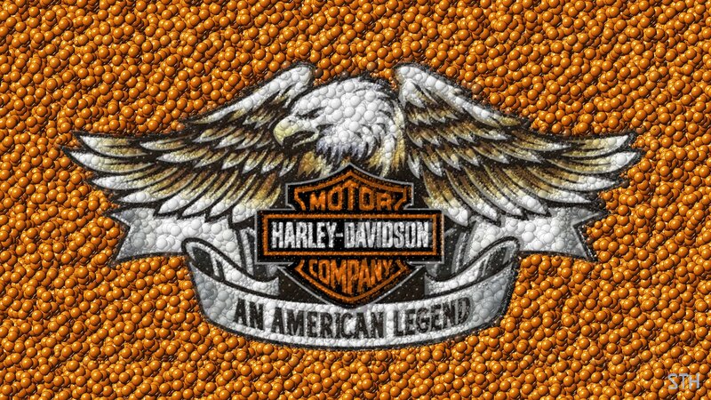 Harley-Davidson Logo — Orange, Bold