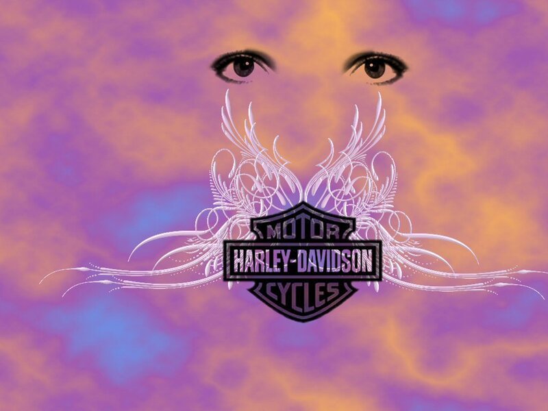 Harley-Davidson Logo — Purple