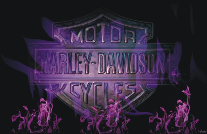 Harley-Davidson logo with purple flames