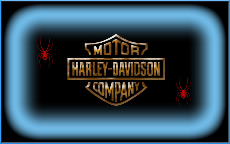 Harley-Davidson logo with spiders