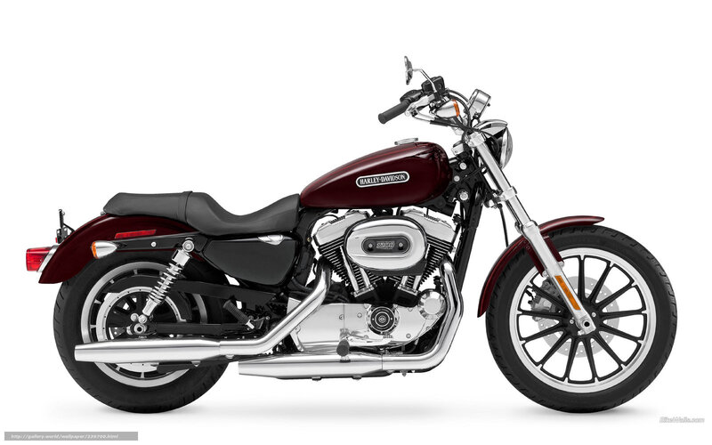 Harley-Davidson motorcycle