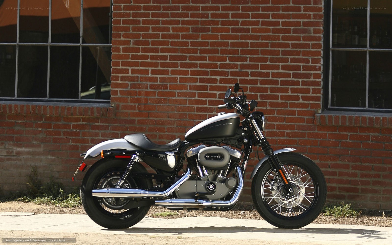 Harley-Davidson motorcycle against brick wall