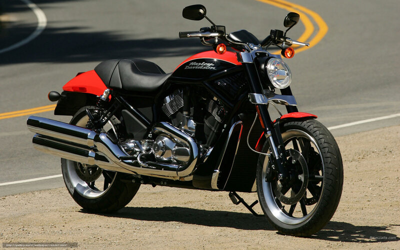 Harley-Davidson Motorcycle — Black, Dramatic, Afternoon, Photograph