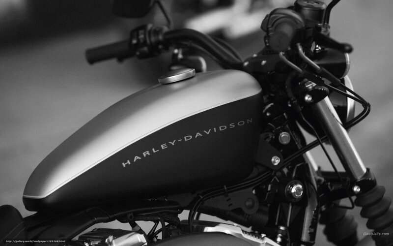 Harley-Davidson Motorcycle — Black, Dramatic, Photograph, Fuel Tank, Handlebars