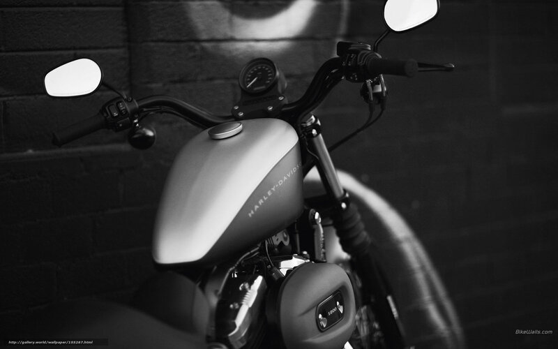 Harley-Davidson Motorcycle — Black, Dramatic, Photograph, Handlebars, Fuel Tank