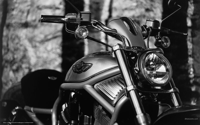 Harley-Davidson Motorcycle — Black, Dramatic, Photograph, Handlebars, Headlight