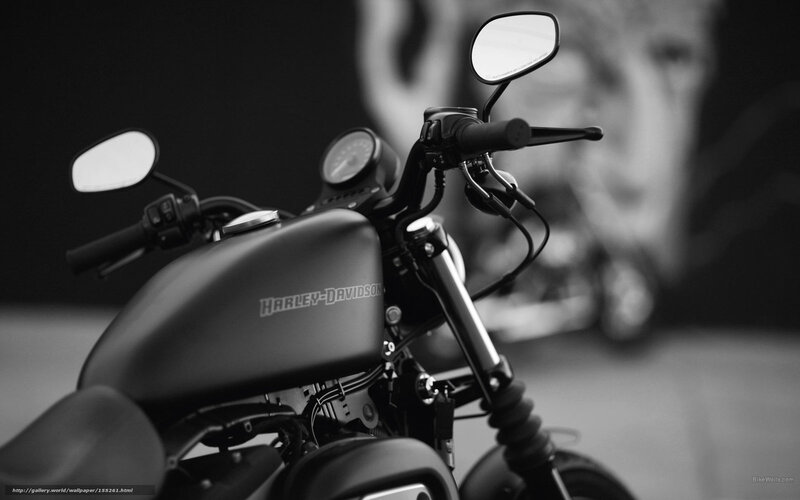 Harley-Davidson Motorcycle — Black, Dramatic, Photograph, Handlebars