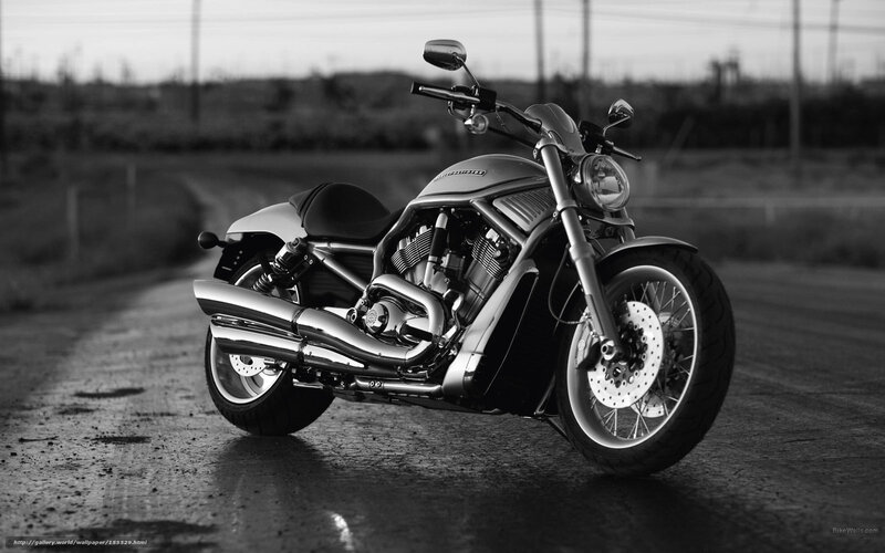 Harley-Davidson Motorcycle — Black, Dramatic, Sunset