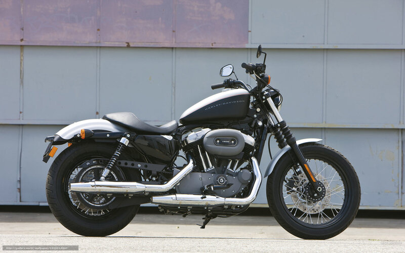 Harley-Davidson Motorcycle — Black, Neutral, Afternoon