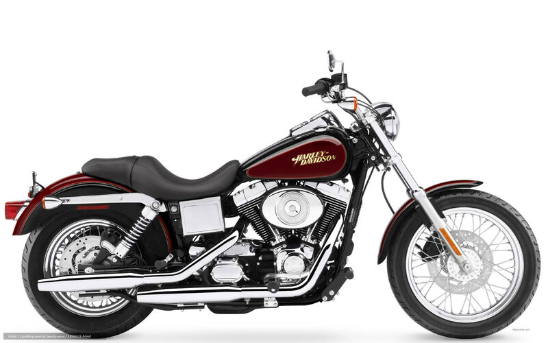 Harley-Davidson Motorcycle — Black, Neutral, Photograph, Seat, Engine
