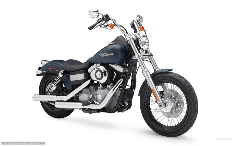 Harley-Davidson Motorcycle — Black, Neutral, Photograph, Seat