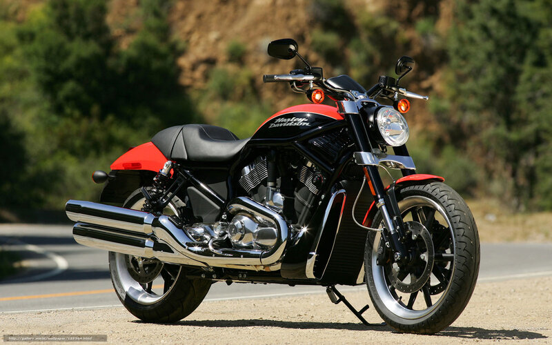 Harley-Davidson Motorcycle — Black, Outdoor, Afternoon