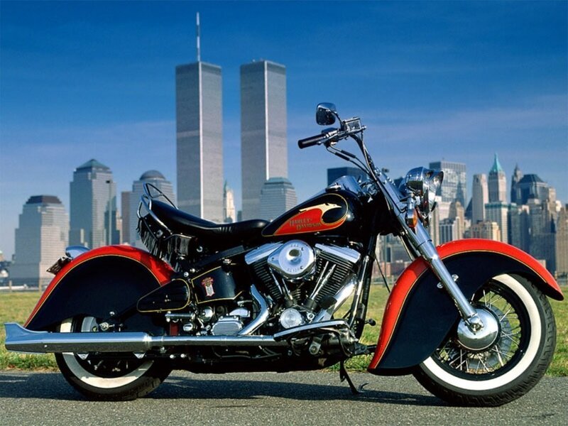 Harley-Davidson Motorcycle — Black, Serene, Afternoon