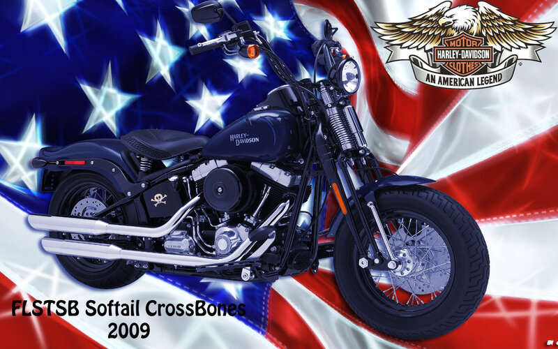 Harley-Davidson Motorcycle — Blue