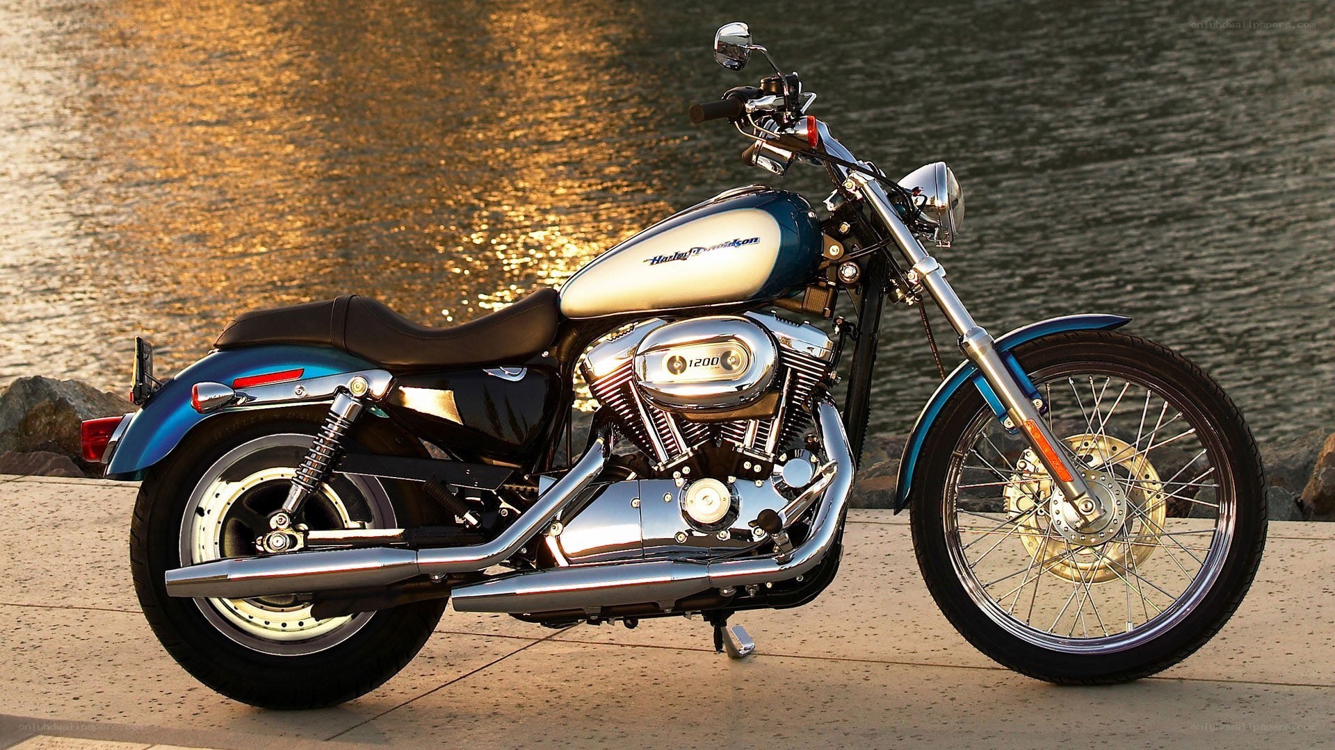 Harley-Davidson motorcycle by water